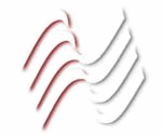 Lippischer Anwalt- und Notarverein